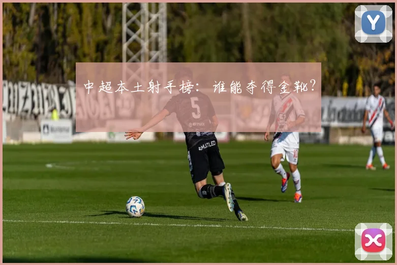 中超本土射手榜：谁能夺得金靴？
