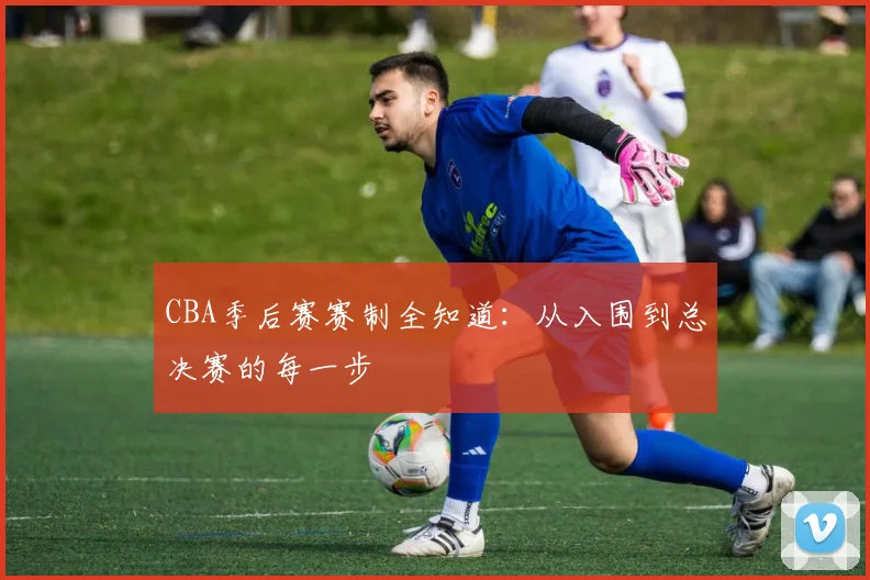 CBA季后赛赛制全知道:从入围到总决赛的每一步