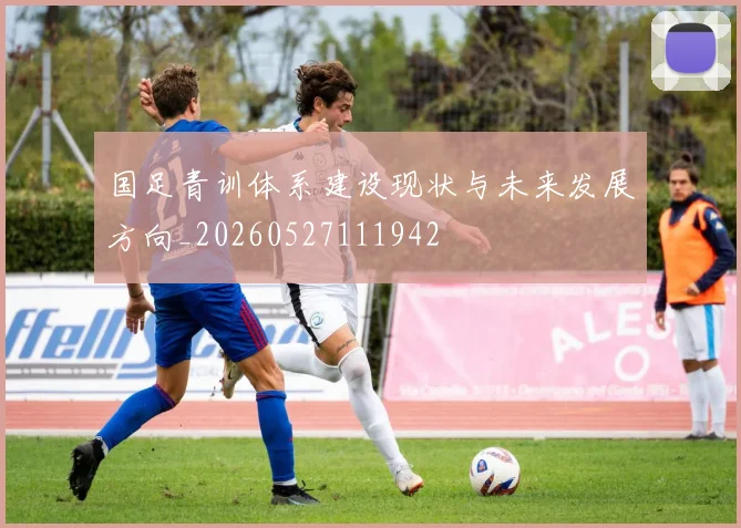 国足青训体系建设现状与未来发展方向_20260527111942