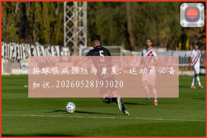 排球伤病预防与康复:运动员必备知识_20260528193020